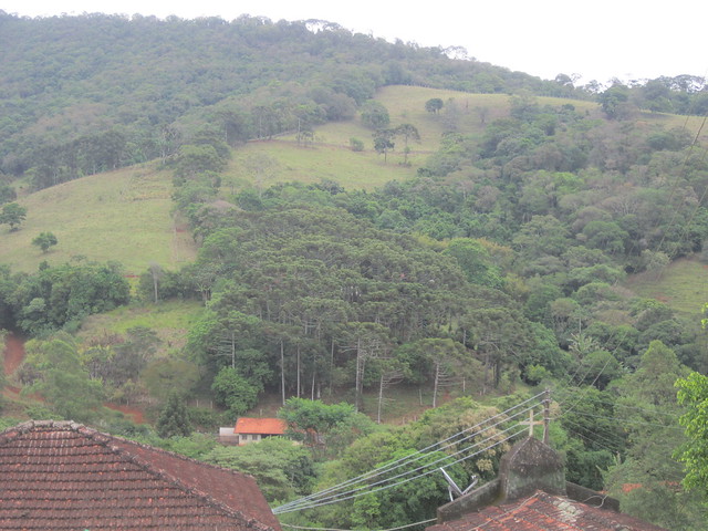 View of the new landscape in the hilly area around Extrema, after the reforestation of thousands of hectares in three basins in this municipality in southeastern Brazil, where the local government has fomented the process of recovery by paying landowners for environmental services. The priority is to restore the forests at the headwaters of the rivers and on hilltops and protect them with cattle fences. Credit: Mario Osava/IPS