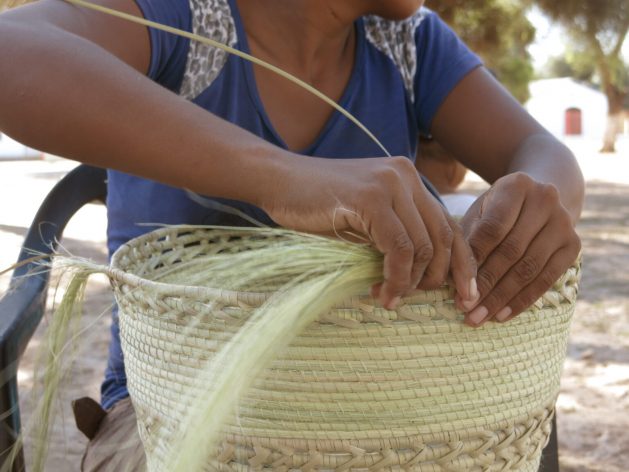 Indigenous artisans from the Pilagá community in the northern province of Formosa, within the Gran Chaco region, have begun selling their baskets online throughout Argentina. CREDIT: Rosario Bobbio/Alma Nativa