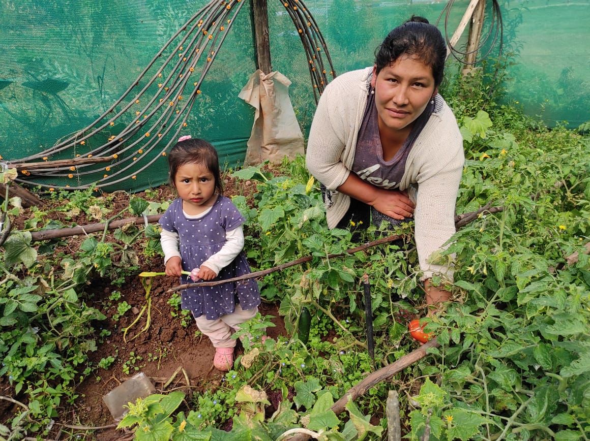 Kely Quispe, a farmer trained at the Flora Tristán Center's Agroecological School, holds a tomato in her organic garden in the farming community of Huasao. Her vegetable production depends on access to water for irrigation, but climate change has made water more scarce in the Andes highlands region of Cuzco in southern Peru. CREDIT: Janet Nina/IPS