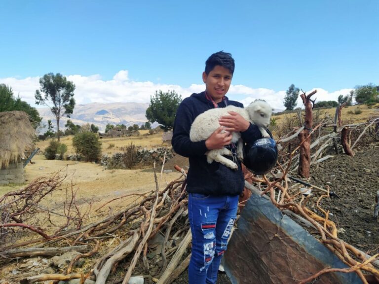 Enrique Anpay is 24 years old and finished his university studies in Lima last year, where he experienced episodes of racism that still hurt him to remember. In the picture he is seen carrying one of his grandmother's lambs in the Quechua farming community of Pomacocha, where he is from, in the central Andean region of Peru. CREDIT: Courtesy of Enrique Anpay