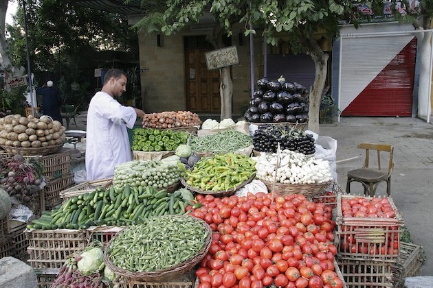 A marker trader at a vegetable stall in the village of El-Maadi near Cairo with heaps of fresh vegetables. CoFSA aims to renew lost ties between producers, the foods they grow, cooks, and consumers. Credit: Gavin Bell/Climate Visuals