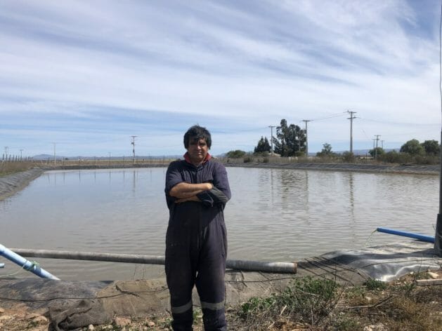 Alfalfa farmer Dionisio Antiquera stands in front of one of the wastewater treatment ponds at the modernized plant in Cerrillos de Tamaya, a rural community in the Coquimbo region of northern Chile. The thousands of liters captured from the sewers are converted into clear liquid ready for reuse in local small-scale agriculture. CREDIT : Orlando Milesi / IPS