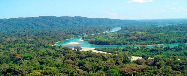 Lacandona, the great Mayan jungle that extends through the state of Chiapas in southern Mexico, is home to natural wealth and indigenous peoples' settlements that are once again threatened by the probable reactivation of abandoned oil wells. Image: Ceiba