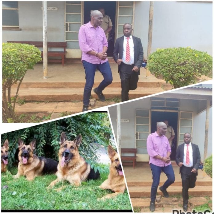 PhotoGrid_Site_1764078229038