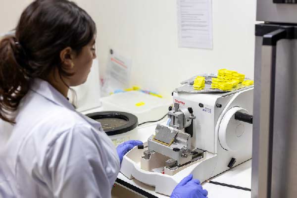 DataPathology: Human capital and digital technology in alliance against cancer DataPathology: Human capital and digital technology in alliance against cancer