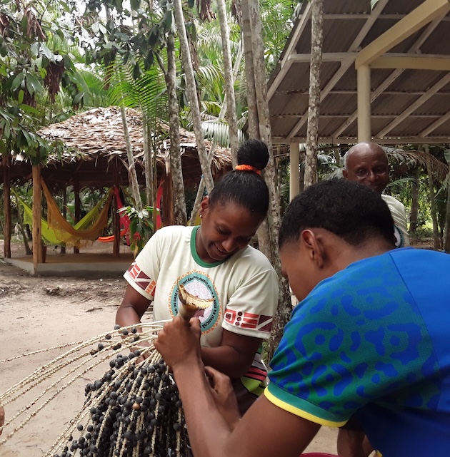 Açaí is harvested in an Afro-descendant community near BelémBrazil,il where COP30 is underway. Açaí is part of the daily diet and is historically known as a source of subsistence. Credit: Joyce Chimbi/IPS