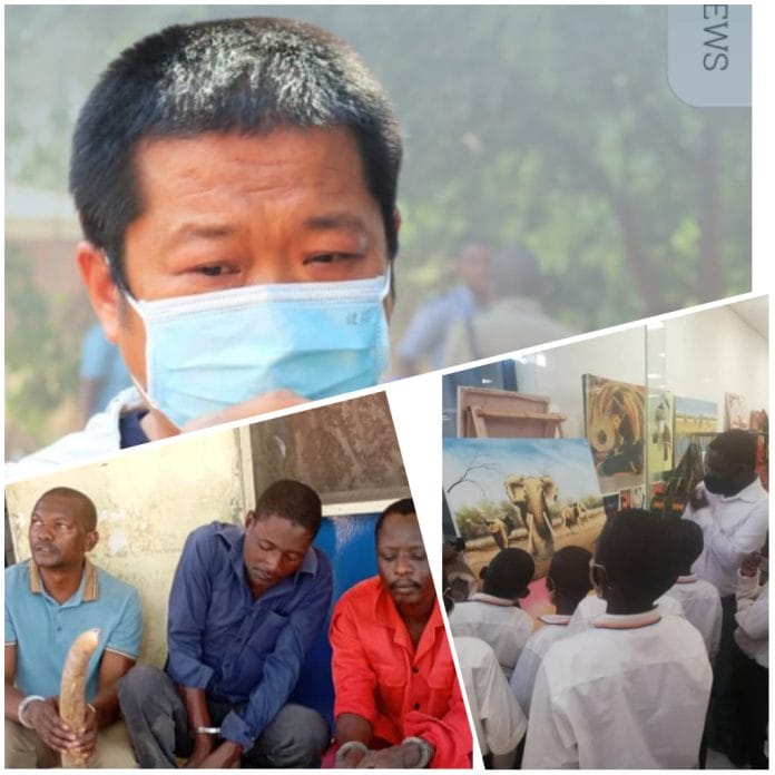 PhotoGrid_Site_1762324117599