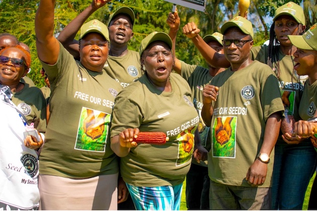 Farmers celebrate in Gilgil town in Kenya, after a court ruling that decriminalized the sharing of indigenous seeds. Credit: Jackson Okata/IPS