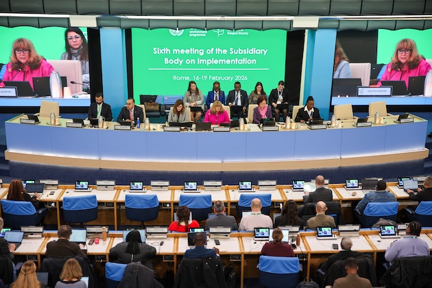 The 6th meeting of the Subsidiary Body of Implementation (SBI-6) is in progress in Rome. Credit: Mike Muzurakis | IISD/ENB