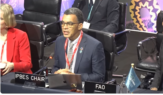 David Oburo, IPBES Chair. Credit: Busani Bafana/IPS