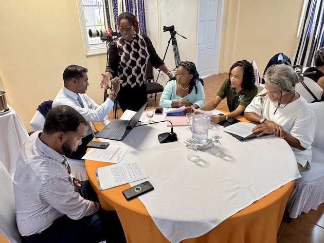 Civil society representatives in discussion during the first day of the Caribbean convening organised by the Fossil Fuel Treaty Initiative. Credit: Alison Kentish/IPS
