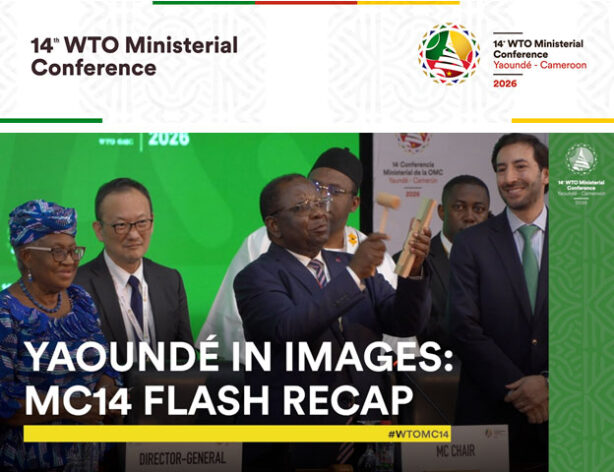 MC14 Exposed US Heavy Hand at the WTO; Developing Countries Need Each Other